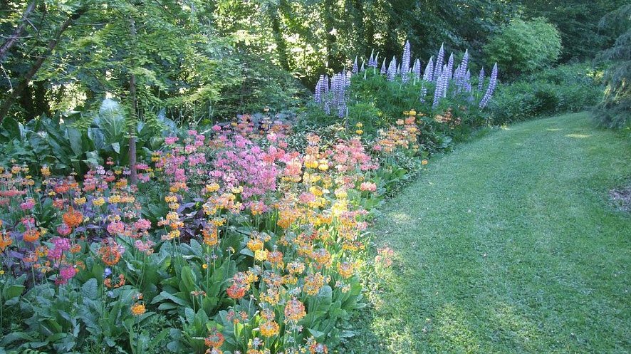 Llwyngarreg Garden, United Kingdom